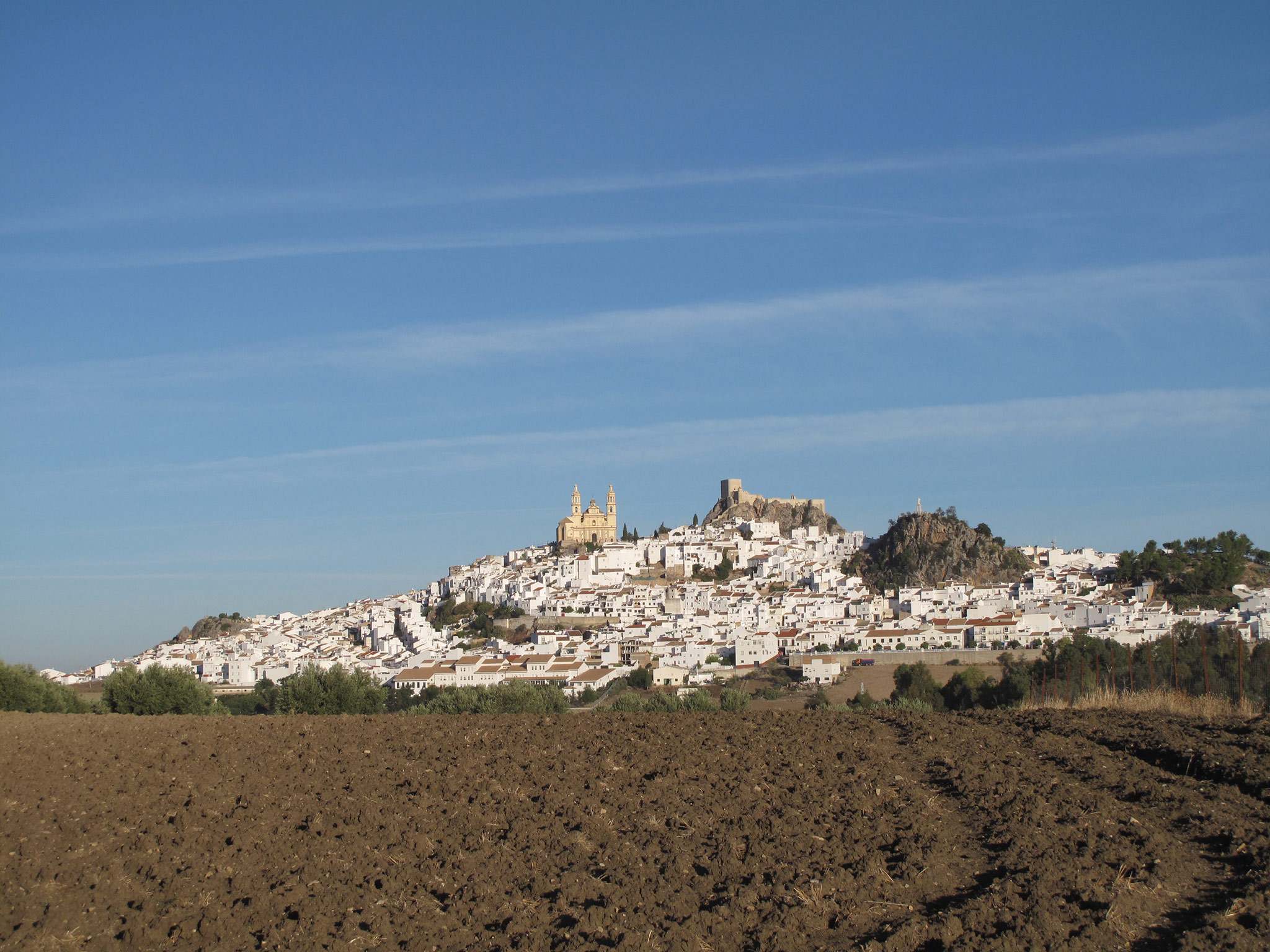 Olvera